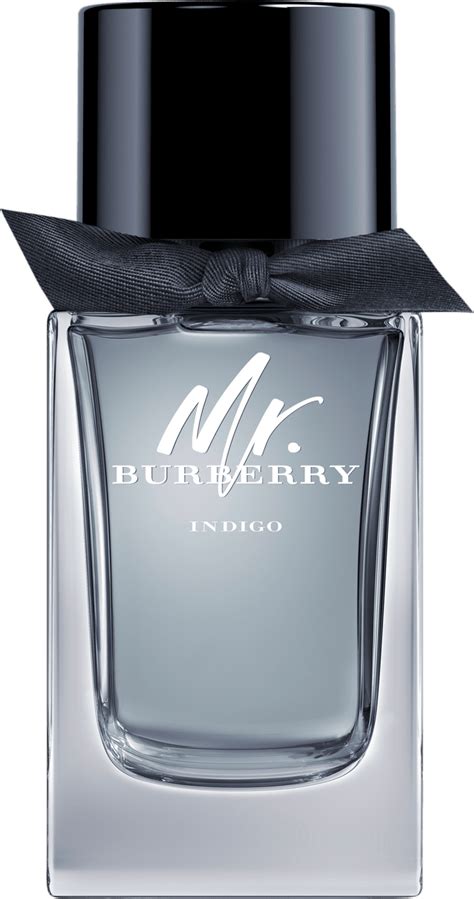 burberry mr. burberry eau de toilette|mr burberry indigo 100ml.